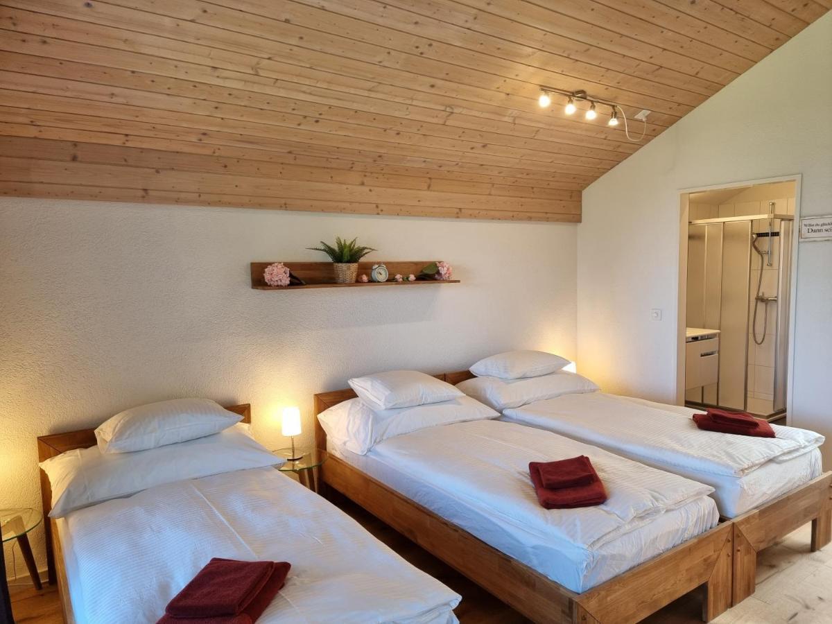 Seeparadiesli am schönen Thunersee Darligen Bagian luar foto